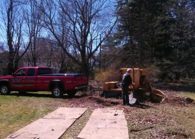 Tree Removal in Rochester NY